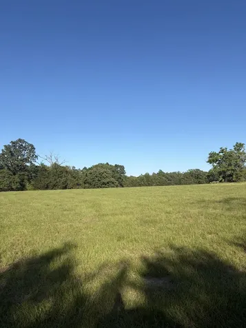 3231 Cr 427 Marquez TX 77865