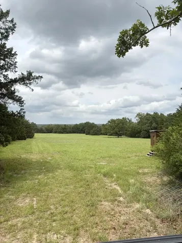 3231 Cr 427 Marquez TX 77865