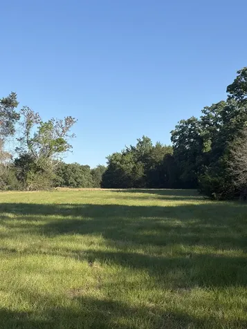 3231 Cr 427 Marquez TX 77865