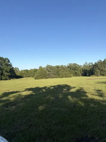 3231 Cr 427 Marquez TX 77865