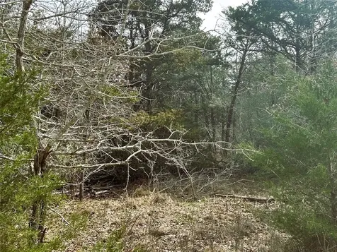 1741 Lange Road Ledbetter TX 78946