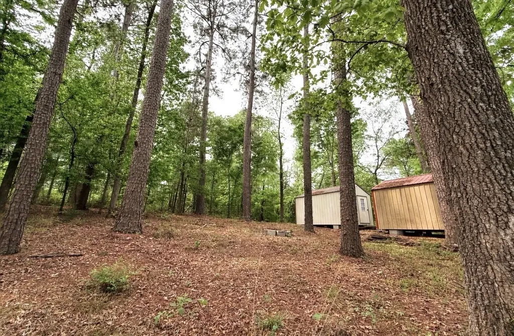 Tbd Lakeshore Point Livingston TX 77351