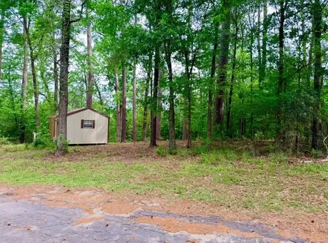 Tbd Lakeshore Point Livingston TX 77351