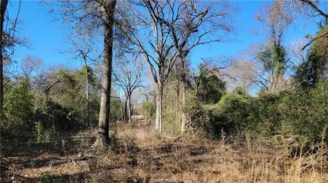 Lot 26 Forest Glen Court Franklin TX 77856