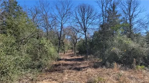Lot 26 Forest Glen Court Franklin TX 77856