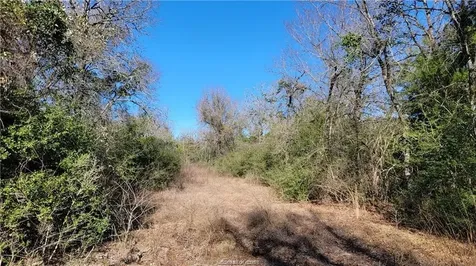 Lot 26 Forest Glen Court Franklin TX 77856