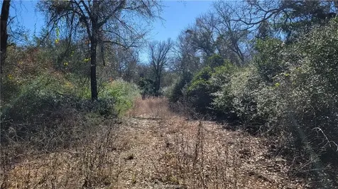 Lot 26 Forest Glen Court Franklin TX 77856