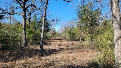 Lot 26 Forest Glen Court Franklin TX 77856