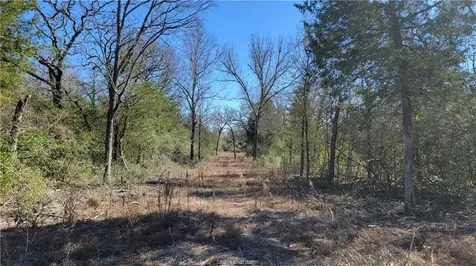 Lot 26 Forest Glen Court Franklin TX 77856