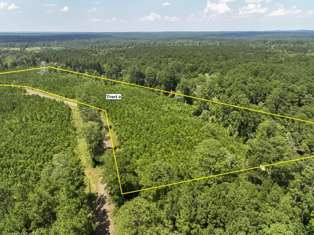 02 Fire Tower Road Hemphill TX 75948