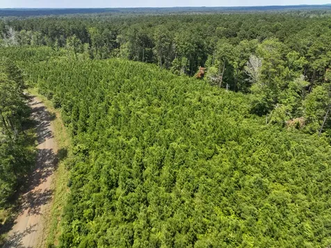 02 Fire Tower Road Hemphill TX 75948