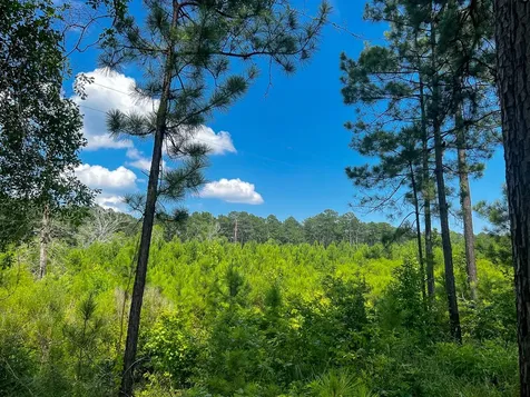 02 Fire Tower Road Hemphill TX 75948
