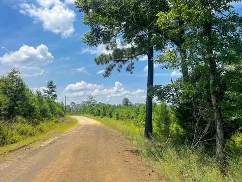 02 Fire Tower Road Hemphill TX 75948
