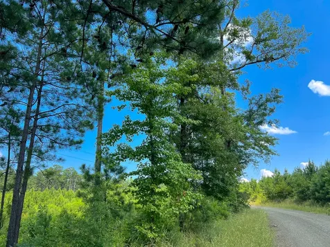02 Fire Tower Road Hemphill TX 75948