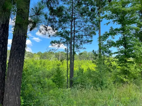 02 Fire Tower Road Hemphill TX 75948