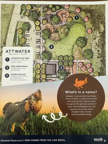 224 Sandhill Grove Trail Waller TX 77447