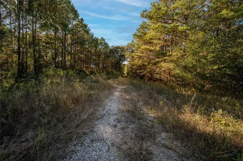 00 Fm-1774 Plantersville TX 77363