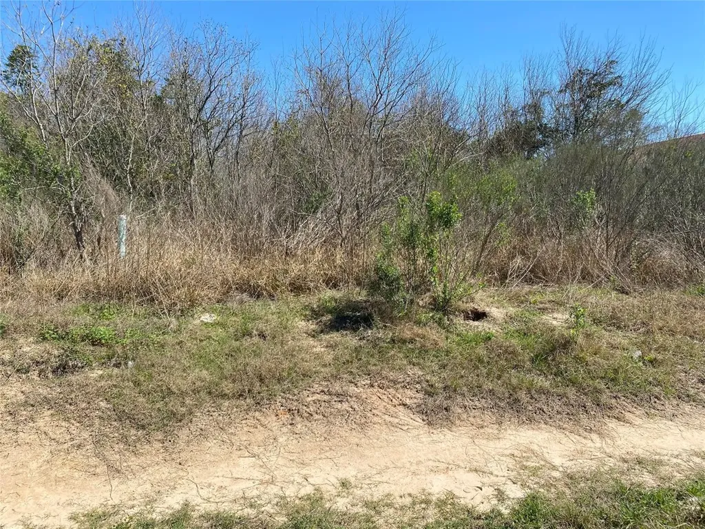 424 County Road 3570 Cleveland TX 77327