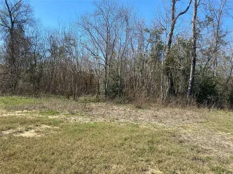 424 County Road 3570 Cleveland TX 77327