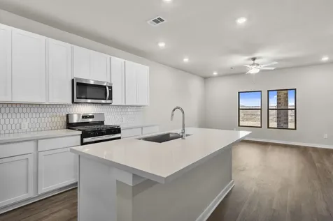 22026 Matera Vista Lane Hockley TX 77447