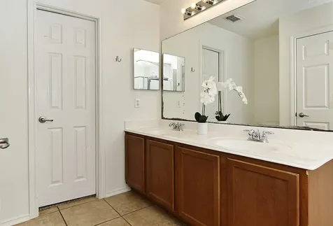 51 Wickerdale Place The Woodlands TX 77382