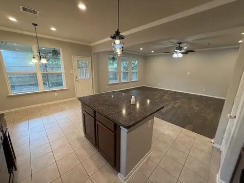 1310 Ainsley Way Drive Pearland TX 77581