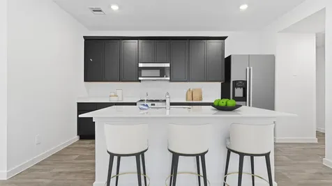 10715 Dogwood Sky Drive Beasley TX 77417