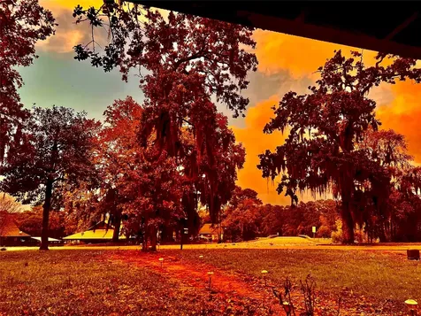 15 Oakwood Lane Huntsville TX 77340