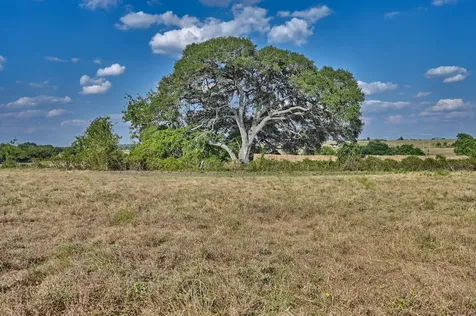 86 Acres Ganske Road Burton TX 77835