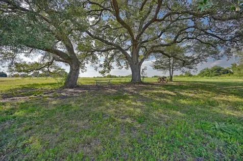 86 Acres Ganske Road Burton TX 77835
