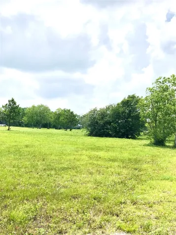 14153 Hamshire Road Hamshire TX 77622
