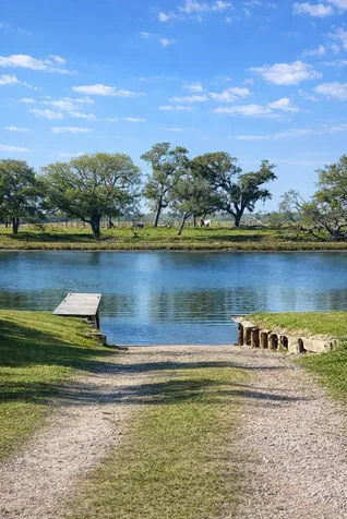 4906 County Road 469 Brazoria TX 77422