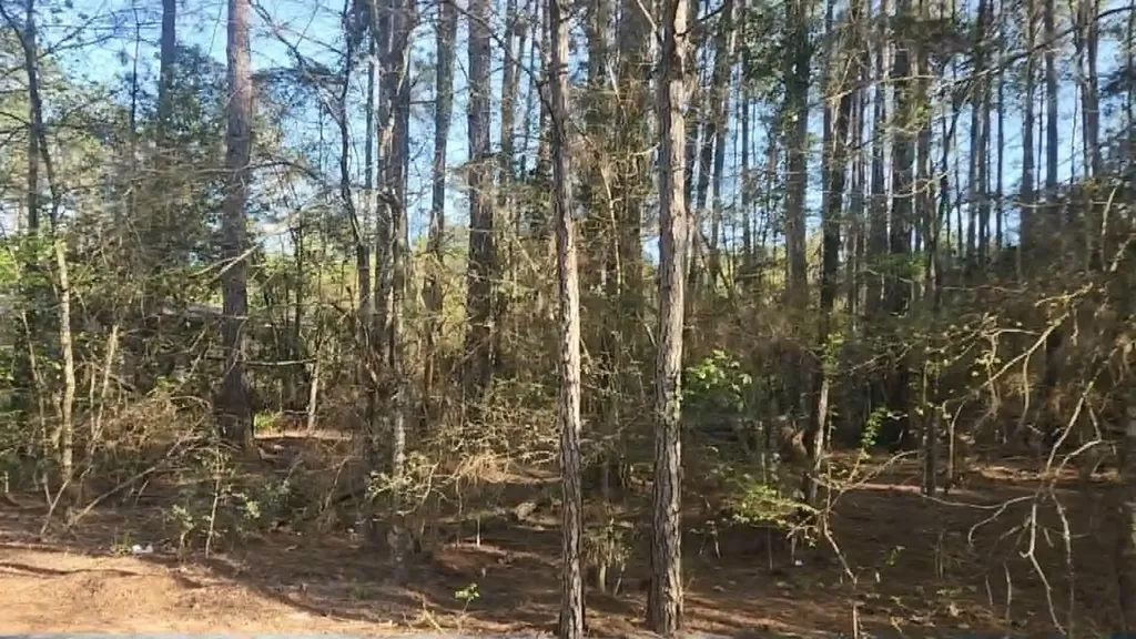 Lot 5 Walnut Tree Lane Plantersville TX 77363