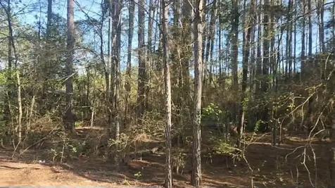 Lot 5 Walnut Tree Lane Plantersville TX 77363