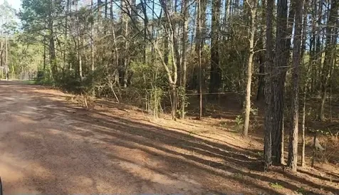 Lot 5 Walnut Tree Lane Plantersville TX 77363