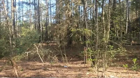 Lot 5 Walnut Tree Lane Plantersville TX 77363