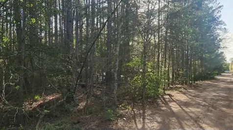 Lot 5 Walnut Tree Lane Plantersville TX 77363
