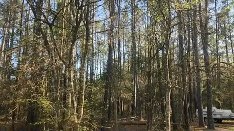 Lot 5 Walnut Tree Lane Plantersville TX 77363