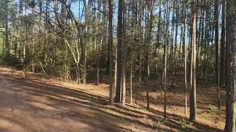 Lot 5 Walnut Tree Lane Plantersville TX 77363