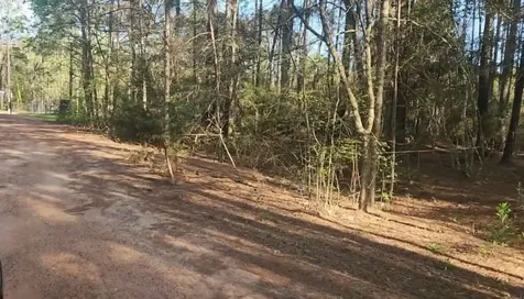Lot 5 Walnut Tree Lane Plantersville TX 77363