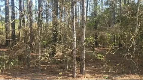 Lot 5 Walnut Tree Lane Plantersville TX 77363