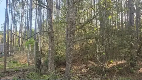 Lot 5 Walnut Tree Lane Plantersville TX 77363