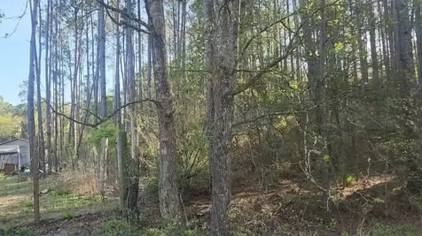 Lot 5 Walnut Tree Lane Plantersville TX 77363