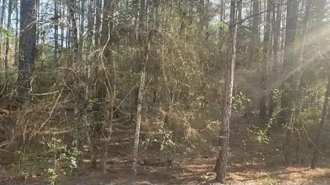 Lot 5 Walnut Tree Lane Plantersville TX 77363
