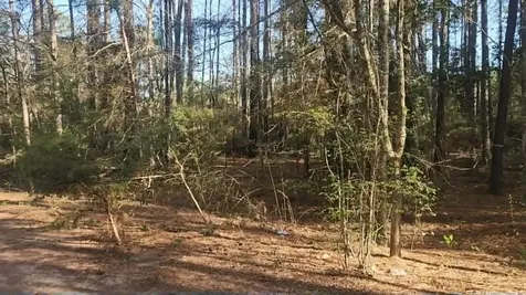 Lot 5 Walnut Tree Lane Plantersville TX 77363