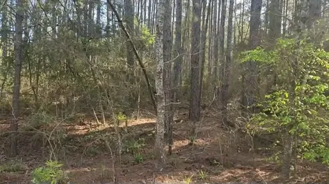 Lot 5 Walnut Tree Lane Plantersville TX 77363