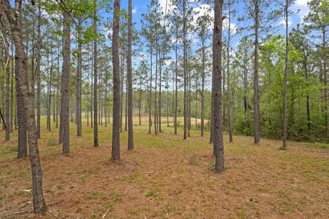 3143 County Road 4300 Woodville TX 75979