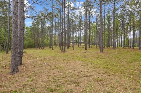 3143 County Road 4300 Woodville TX 75979