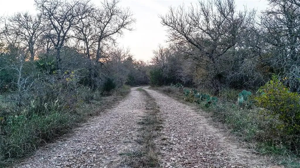 137 Shady Oaks Loop Cedar Creek TX 78612