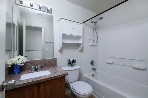 29723 Sullivan Oaks Drive Spring TX 77386